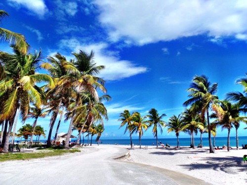 Crandon Park Beach on Key Biscayne. Source: Kara Franker