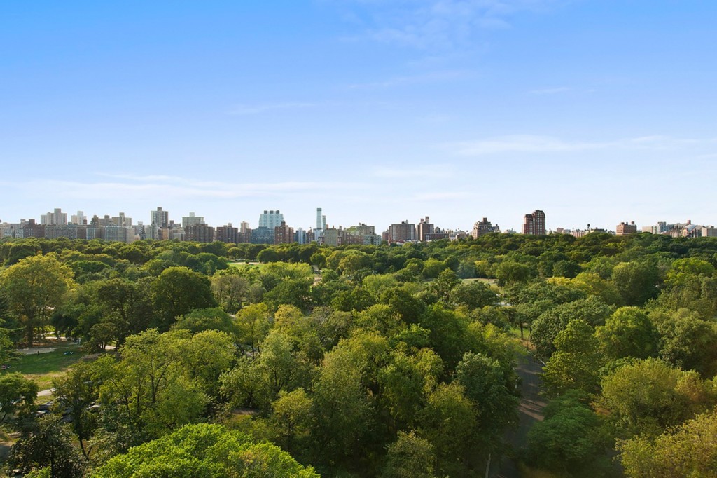 Carmelo and La La's view