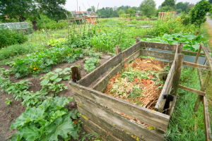Compost bin