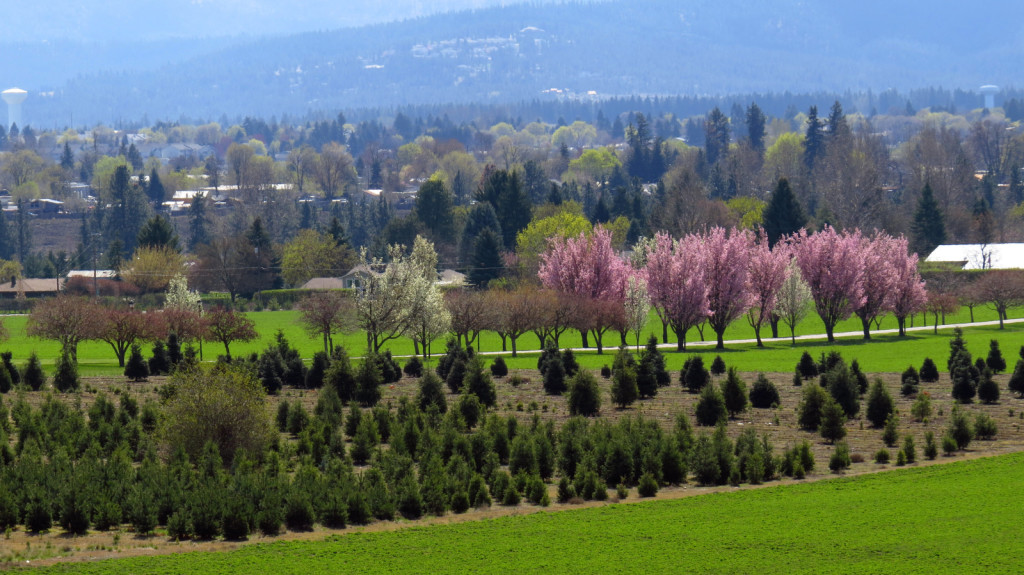 Spokane Valley