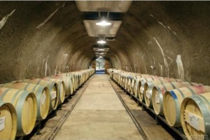 wine cave